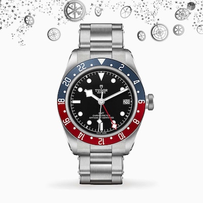 TUDOR-ADJUST.jpg image
