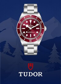 Tudor image
