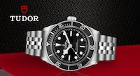 TUDOR image